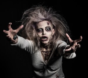 shutterstock_142239163 copy