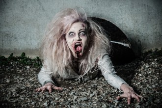 shutterstock_142238470 copy