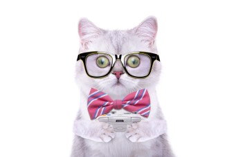 shutterstock_263287157