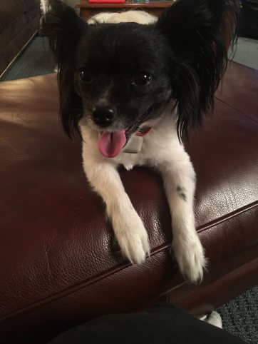 13483309_10154297261262265_3936509621193991077_o